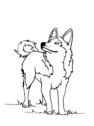 Colouring page info save colouring page colour online (beta) 14 likes. Husky Dog Coloring Page 1001coloring Com