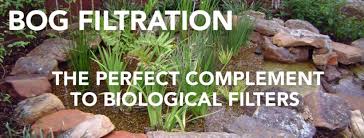Contemporary landscaping ideas from andy sturgeon, small garden designs front yard and backyard landscaping ideas that include a small pond, some decorative rocks, a bench, a water fountains and a garden path along the pond add harmony and balance to your house exterior design and improve the way your home looks and feels. Bog Filtration The Perfect Complement To Biological Filters Advice From The Bottom Of The Pond Beyond