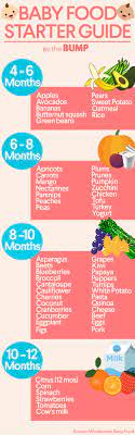 Precautions while you are introducing first solid food to baby. Introducing Solids When To Start Baby Food