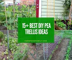 I also made one garden trellis out of only twine, which i used to create vertical lines for the trellis. 15 Brilliant Diy Pea Trellis Ideas Designs For Your Garden
