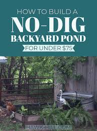 We did not find results for: How To Build A No Dig Backyard Pond For Under 70 Hawk Hill