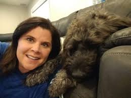 Krazy Creek Labradoodles