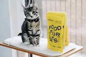 The best way for your cat to enjoy purrboxes. 12 Best Monthly Cat Subscription Boxes Urban Tastebud