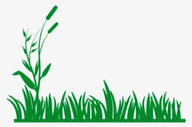 Download Grass Svg Royalty Free Download Free Download On Melbournechapter Grass Clip Art Black And White Png Image Transparent Png Free Download On Seekpng
