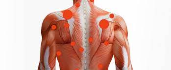 1294 defineşte vânzarea ca fiind o „convenţie prin care două părţi se obligă între sine, una a transmite celeilalte. De Ce Apar Contracturile Musculare Fiziokinetoterapeut Petre Bogdan