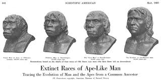 Neanderthal Man: Paleoanthropology Evolving from Racism to Brotherhood – CEH