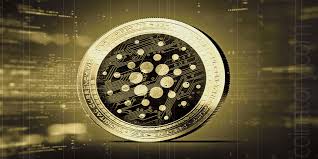 1 btc = 0 pkr reverse conversion : Ehrh9vfx2oovfm