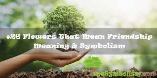 The meaning behind the flower. 26 Flowers That Mean Friendship Meaning Symbolism