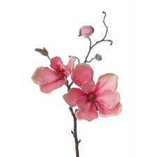 We did not find results for: Artificial Magnolia Spray Malbine Pink 50cm O6 10cm Fake Flowers