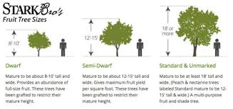 Most fruit trees require pollination to produce fruit. Choosing The Right Fruit Trees For Your Home Organic Gardening Mother Earth News