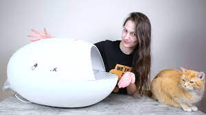 Chillx Autoegg Self Cleaning Litter Box Review We Tried It Youtube