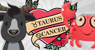 Taurus And Cancer Compatibility Love Sex Relationships