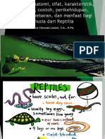 We did not find results for: Zoologi Vertebrata Bab 9 Reptil