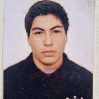 40+ perfiles de «Bryan Tapia»