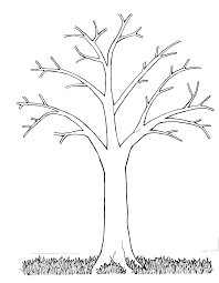 Have you ever wondered which trees have the world's biggest leaves? Tree With No Leaves Coloring Page Coloring Home