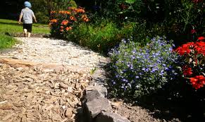 Botanischer Garten Der Wwu Munster Family Guide Munsterland