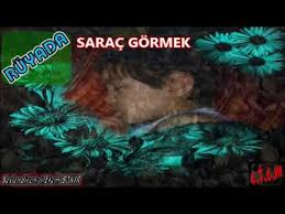 Ruyada Sarac Gormek Sesli Ruya Tabirleri Videolu Ruya Tabirleri At Nallari Dansozler Ruya