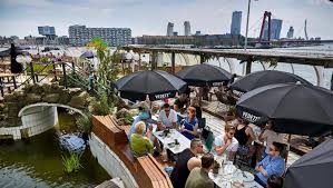 The largest building in the netherlands. Best Outdoor Places To Hangout In Rotterdam Erasmus Blog Rotterdam Netherlands