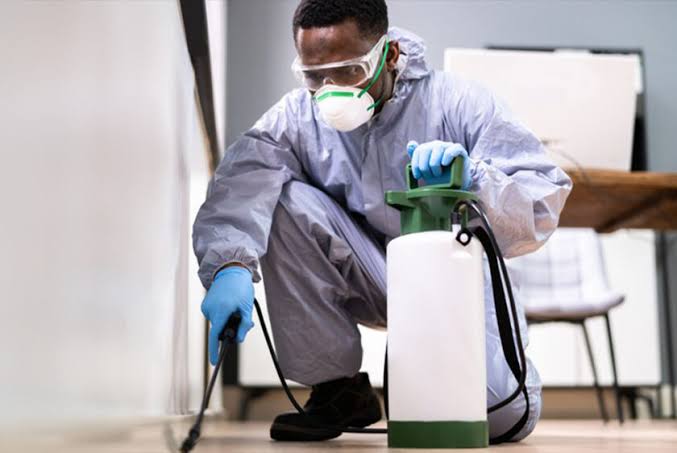 Modern Pest Prevention Installation