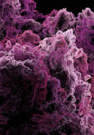 Here's a photo of a plant cell under an electron microscope. Electron Diffraction Intechopen