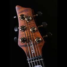 톰톰 월광욕 ( marleaux contra 6 string). Bass Buddha
