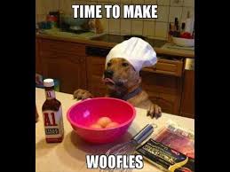 Funny And Cute Dogs Videos 2020 Dog Puns Funny Animal Pictures Easy Dog Treat Recipes