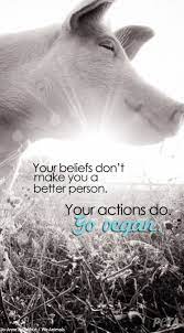 Get Your Free Animal Rights Iphone Wallpaper Peta Animal Advocacy Animal Rights Animal Rights Movement