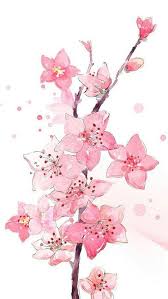 كتاب صور عشوائية Cherry Blossom Art Flower Drawing Flower Art
