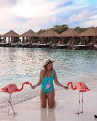 Renaissance island or named flamingo beach aruba, is a private island that you can reach by boat from the renaissance hotel. Visiting Flamingo Beach In Aruba Everything You Need To Know Sightseeing Senorita