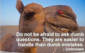 Don't ask dumb gotcha questions when hiring an seo. Quotes About Asking Dumb Questions 30 Quotes