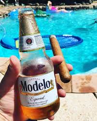 Modelo And A Cigar By The Pool Corona Beer Bottle Corona Beer Beer Bottle