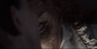 Blow out the candles, then. Pin On Fucked Up Shit I Love