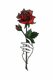 Roses For Jonghyun Rose Drawing Drawing Wallpaper Hand Holding Rose One continuous line drawing hand holding vector. pinterest