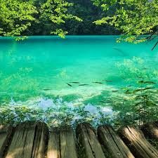 Dans Le Decor Paradisiaque Du Parc National De Plitvice Croatie Croatia Croatie Plitvice Plitvicelakes Trip Tra Apprendre La Photo Photos Photographie