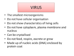 Microorganisms are living things which are so small that. Science Form5 Chapter 1
