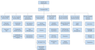 42 Cogent Hospital Organization