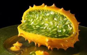 You love to choose more unusual female dog names. Strange Fruits Most Weird Fruits You Ve Probably Never Seen