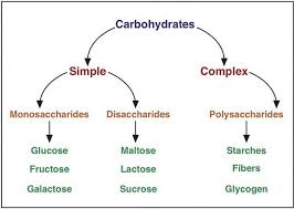 A Closer Look At Carbohydrates Medical Laboratory Science Chemistry Education Medical School Studying