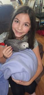 Little treat. Veggie are a good balance as well