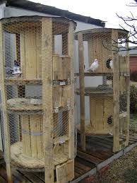 If you have a source of free pallets that are ready to do pallet projects, then check out these 125 diy pallet furniture ideas that are all about the refinement and betterment of your home and outdoor spaces where you most like to spend your spare time like garden and. If You Can T Build Out Build Up Chicken Skyscrapers Chickens Backyard Diy Chicken Coop Building A Chicken Coop