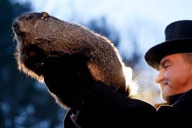 How Groundhog Day Came To The U.S. — And Why We Still Celebrate It 138  Years Later - Opb