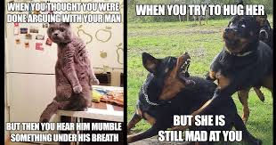10 Funny Memes About Married Life Left Internet Users Bursting Out Laughing Small Joys