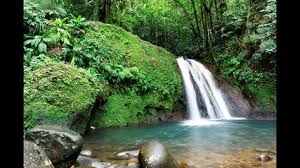 3 H Relax Bruit De L Eau Chute D Eau Relaxation Cascade Spa Bru Martinique Paysage Martinique Chute D Eau