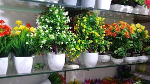 Check spelling or type a new query. Artificial Flower Pots Posts Facebook