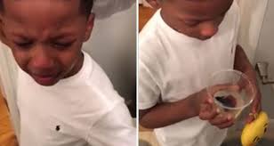 Betta Fish Children And Loss Bettafish Org