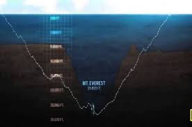 Palung mariana dikenal sebagai bagian terdalam dari lautan dunia. Ini Dia 6 Fakta Yang Ada Di Dasar Laut Terdalam Di Dunia Semua Halaman Hai