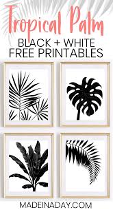 Check spelling or type a new query. Black White Tropical Palm Leaf Wall Art Printables Leaf Wall Art Free Printable Art Free Printable Wall Art