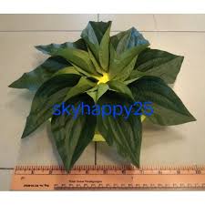 Sirih junjung dan tepak sirih antara hantaran yang akan. Buy Tempat Sirih Junjung Hantaran Seetracker Malaysia