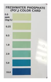 Phase 2 Hab Prevention Using Stropharia Mycofiltration