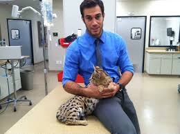 The Hottest Animal Doctor Ever That Ll Make You Want To Get Your Pet Checked Animal Doctor Pet Clinic Your Pet